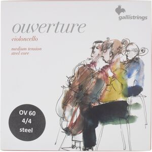 Galli OV60 Overture Cello STC 4/4 Galli OV60 Overture Cello STC 4/4