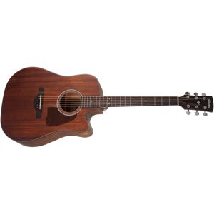 Ibanez AW54CE Natural Ibanez AW54CE Natural