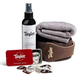 Taylor Essentials Pack Gloss Finish Guitars Taylor Essentials Pack Gloss Finish Guitars