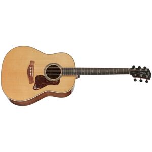 Taylor Gold Label 817e Taylor Gold Label 817e