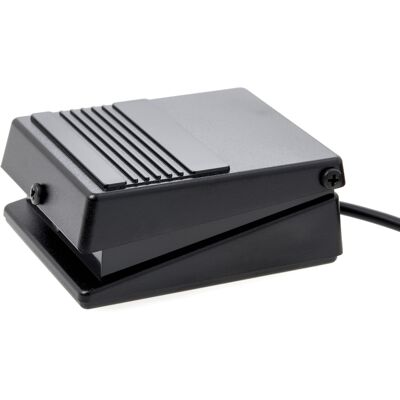 Roland DP-2 Roland DP-2