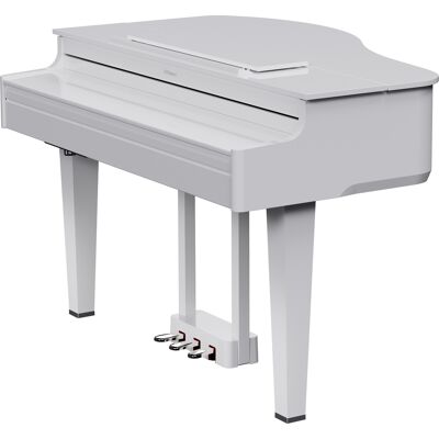 Roland GP-6 PW Roland GP-6 PW
