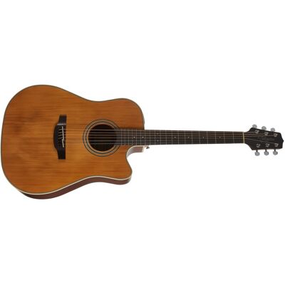 Takamine GD20CE-NS Takamine GD20CE-NS