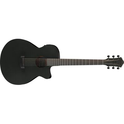 Ibanez AEG621-BOT Ibanez AEG621-BOT