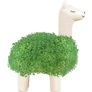 Kvetináč - Lama ALBI Kvetináč - Lama ALBI