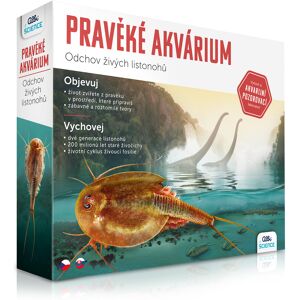 Praveké akvárium ALBI Praveké akvárium ALBI