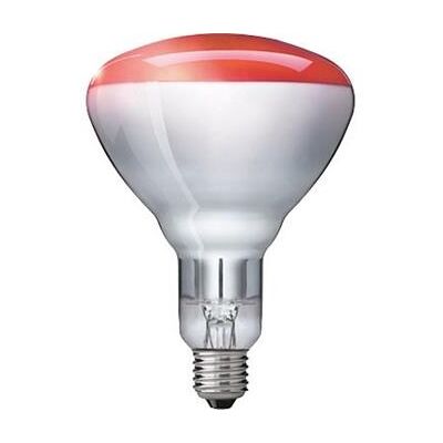 SANITAS IL 10 Náhradná žiarovka 100W SANITAS IL 10 Náhradná žiarovka 100W