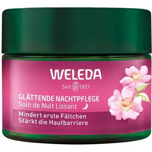 WELEDA Rozjasňujúci nočný krém Divoká ruža a biely čaj 40 ml WELEDA Rozjasňujúci nočný krém Divoká ruža a biely čaj 40 ml