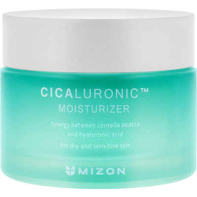 MIZON Cicaluronic Moisturizer - Pleťový krém proti vráskam 50 ml MIZON Cicaluronic Moisturizer - Pleťový krém proti vráskam 50 ml