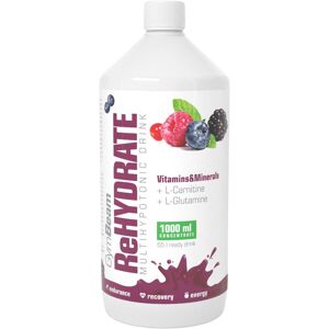 GYMBEAM ReHydrate lesné ovocie 1000 ml GYMBEAM ReHydrate lesné ovocie 1000 ml