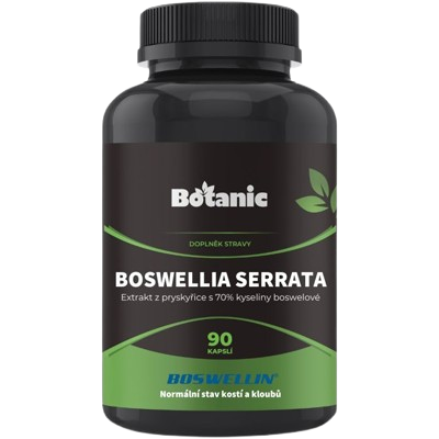 BOTANIC Boswellia serrata - Extrakt zo živice s 70% kyseliny boswelovej (Boswellin®️ HBD Sabinsa) 90 kapsúl BOTANIC Boswellia serrata - Extrakt zo živice s 70% kyseliny boswelovej (Boswellin®️ HBD Sabinsa) 90 kapsúl