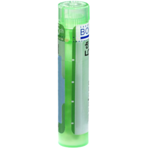 BOIRON Sticta Pulmonaria CH5 granule 4 g BOIRON Sticta Pulmonaria CH5 granule 4 g