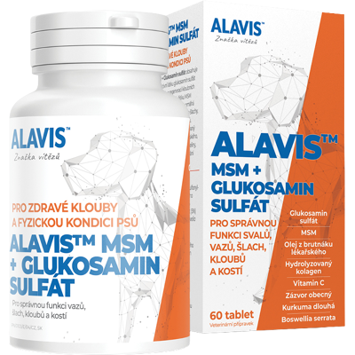 ALAVIS MSM + GLUKOZAMÍN SULFÁT 60 tabliet ALAVIS MSM + GLUKOZAMÍN SULFÁT 60 tabliet