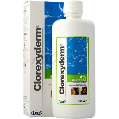 CLOREXYDERM 4% Dezinfekčný šampón pre psy a mačky 250 ml CLOREXYDERM 4% Dezinfekčný šampón pre psy a mačky 250 ml