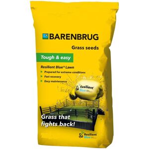 Barenbrug trávna zmes Resilient Blue Lawn 15 kg Barenbrug trávna zmes Resilient Blue Lawn 15 kg