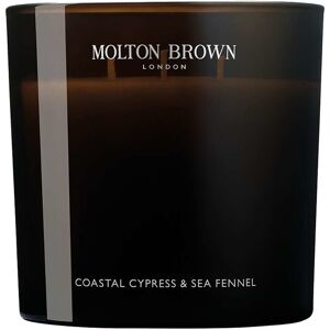 Molton Brown Vonná sviečka Coastal Cypress & Sea Fennel (Scented Candle) 600 g Molton Brown Vonná sviečka Coastal Cypress & Sea Fennel (Scented Candle) 600 g