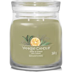 Yankee Candle Aromatická sviečka Signature sklo stredná Sage & Citrus 368 g Yankee Candle Aromatická sviečka Signature sklo stredná Sage & Citrus 368 g
