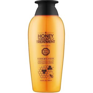 Daeng Gi Meo Ri Regeneračný vlasový kondicionér Professional Honey Therapy Plus (Treatment) 250 ml Daeng Gi Meo Ri Regeneračný vlasový kondicionér Professional Honey Therapy Plus (Treatment) 250 ml