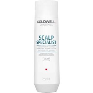 Goldwell Šampón Dualsenses Scalp Specialist Dandruff Care (Anti-Dandruff Shampoo) 250 ml Goldwell Šampón Dualsenses Scalp Specialist Dandruff Care (Anti-Dandruff Shampoo) 250 ml