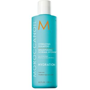 Moroccanoil Hydratačný šampón s arganovým olejom pre všetky typy vlasov (Hydrating Shampoo) 250 ml Moroccanoil Hydratačný šampón s arganovým olejom pre všetky typy vlasov (Hydrating Shampoo) 250 ml