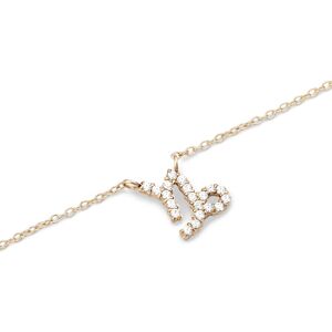 Daniel Wellington Nadčasový pozlátený náhrdelník znamenia Kozorožec Crystal Zodiac DW00400928 Daniel Wellington Nadčasový pozlátený náhrdelník znamenia Kozorožec Crystal Zodiac DW00400928