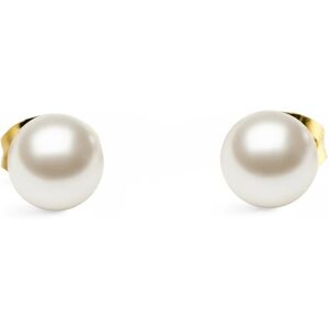 Daniel Wellington Pozlátené náušnice s perlou Swarovski Pearl DW00401955 Daniel Wellington Pozlátené náušnice s perlou Swarovski Pearl DW00401955