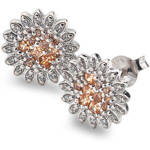 Hot Diamonds Strieborné náušnice Emozioni Spirzzare EE032 Hot Diamonds Strieborné náušnice Emozioni Spirzzare EE032