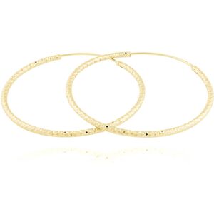 JVD Pozlátené strieborné náušnice kruhy SVLE0216XD5GO 3 cm JVD Pozlátené strieborné náušnice kruhy SVLE0216XD5GO 3 cm