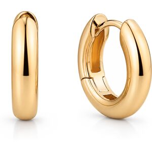Pandora Luxusné pozlátené kruhové náušnice Essence 263320C00 Pandora Luxusné pozlátené kruhové náušnice Essence 263320C00