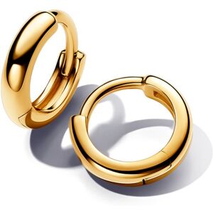 Pandora Nadčasové pozlátené kruhové náušnice 263286C00 Pandora Nadčasové pozlátené kruhové náušnice 263286C00