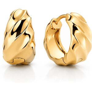 Pandora Pozlátené kruhové náušnice Essence Shine 263874C00 Pandora Pozlátené kruhové náušnice Essence Shine 263874C00