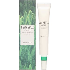 SKIN1004 Ošetrujúci krém na nedokonalosti pleti a škvŕn Madagascar Centella (Tea-Trica Spot Cream) 20 ml SKIN1004 Ošetrujúci krém na nedokonalosti pleti a škvŕn Madagascar Centella (Tea-Trica Spot Cream) 20 ml