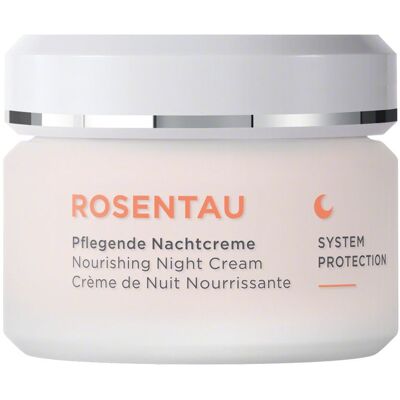 ANNEMARIE BORLIND Vyživujúci nočný krém Rose Dew (Nourishing Night Cream) 50 ml ANNEMARIE BORLIND Vyživujúci nočný krém Rose Dew (Nourishing Night Cream) 50 ml