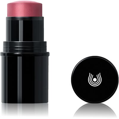 Dr. Hauschka Multifunkčná tyčinka (Lip to Cheek) 6,1 g 03 Rosewood Dr. Hauschka Multifunkčná tyčinka (Lip to Cheek) 6,1 g 03 Rosewood