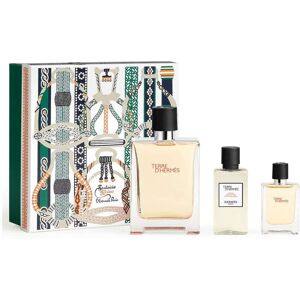 Hermes Terre D` Hermes - EDT 100 ml + voda po holení 40 ml + EDT 12,5 ml Hermes Terre D` Hermes - EDT 100 ml + voda po holení 40 ml + EDT 12,5 ml