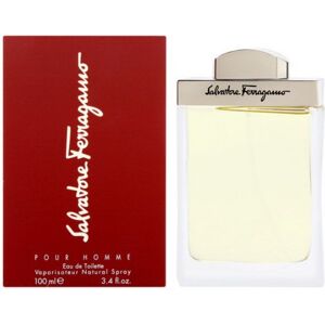 Salvatore Ferragamo Pour Homme - toaletná voda s rozprašovačom 100 ml Salvatore Ferragamo Pour Homme - toaletná voda s rozprašovačom 100 ml