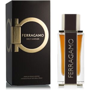 Salvatore Ferragamo Ferragamo Spicy Leather Pour Homme Special Edition - parfém 100 ml Salvatore Ferragamo Ferragamo Spicy Leather Pour Homme Special Edition - parfém 100 ml