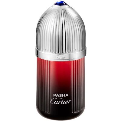 Cartier Pasha De Cartier Edition Noire Sport - EDT 100 ml Cartier Pasha De Cartier Edition Noire Sport - EDT 100 ml