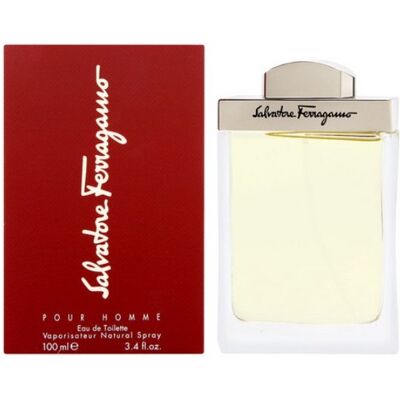 Ferragamo Pour Homme - toaletná voda s rozprašovačom 100 ml Ferragamo Pour Homme - toaletná voda s rozprašovačom 100 ml