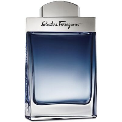 Ferragamo Subtil Pour Homme - EDT 100 ml Ferragamo Subtil Pour Homme - EDT 100 ml