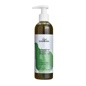 Soaphoria BalancoShamp - organický tekutý šampón na mastné vlasy Soaphoria BalancoShamp - organický tekutý šampón na mastné vlasy