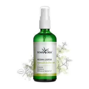 Soaphoria Medovka lekárska - organická kvetová voda 100ml - obnova rovnováhy Soaphoria Medovka lekárska - organická kvetová voda 100ml - obnova rovnováhy