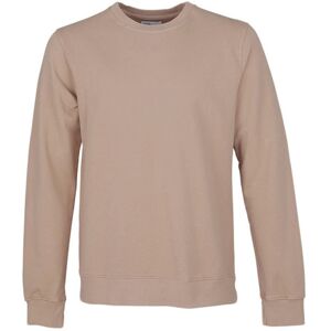 Colorful Standard Classic Organic Crew Light Brown Pánske - Mikiny a mikiny s kapucou Colorful Standard - Svetlohnedá - CS1005-DK-S - Size: S S male Colorful Standard Classic Organic Crew Light Brown Pánske - Mikiny a mikiny s kapucou Colorful Standard - Svetlohnedá - CS1005-DK-S - Size: S S male