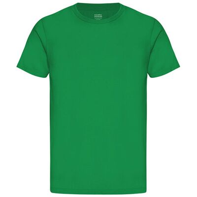Colorful Standard Classic Organic Tee Green CS1001-KG Pánske - Tričká Colorful Standard - Zelená - CS1001-KG-XS - Size: XS XS male Colorful Standard Classic Organic Tee Green CS1001-KG Pánske - Tričká Colorful Standard - Zelená - CS1001-KG-XS - Size: XS XS male