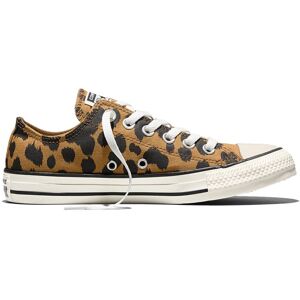 Converse Chuck Taylor All Star Cow Print Brown Dámske - Tenisky Converse - Hnedá - A17920C-5 - Size: 5 5 female Converse Chuck Taylor All Star Cow Print Brown Dámske - Tenisky Converse - Hnedá - A17920C-5 - Size: 5 5 female