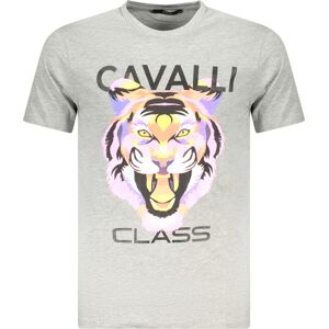 Cavalli Class Pánske Tričko S Krátkym Rukávom Šedá Xxl Cavalli Class Pánske Tričko S Krátkym Rukávom Šedá Xxl