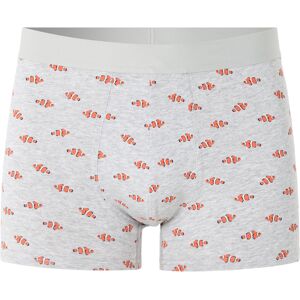Celio Nibonemo Boxerky S Celio Nibonemo Boxerky S
