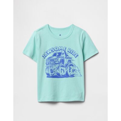 Gap Baby T-Shirt Mix & Match - Boys Tyrkysová 12-18m Gap Baby T-Shirt Mix & Match - Boys Tyrkysová 12-18m