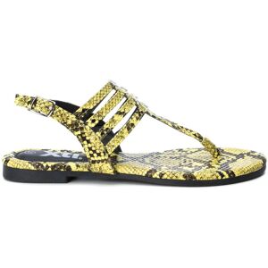 Xti 49577 36 Xti 49577 36