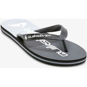 Men'S Flip-Flops Quiksilver Molokai Stripe Šedá 41 Men'S Flip-Flops Quiksilver Molokai Stripe Šedá 41